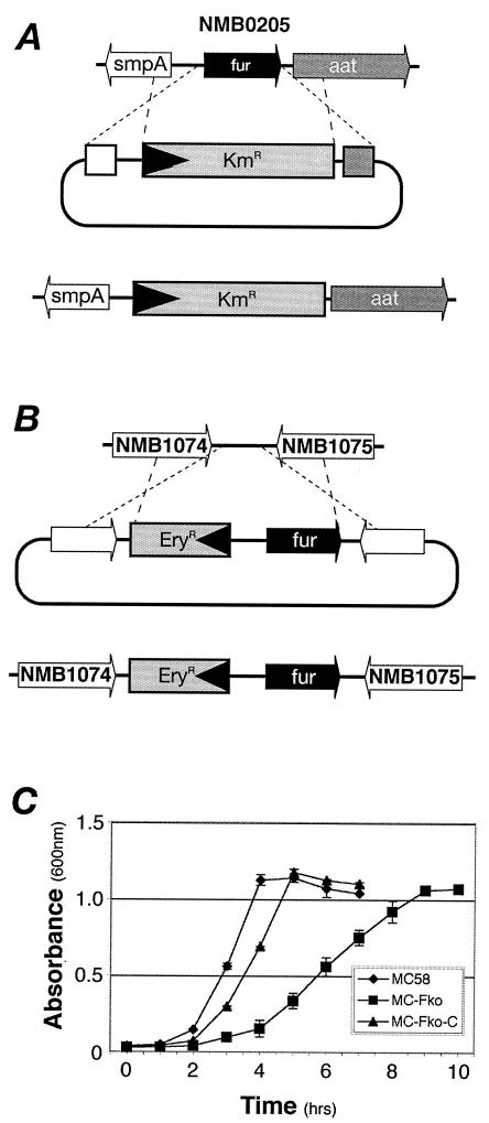 FIG. 1.