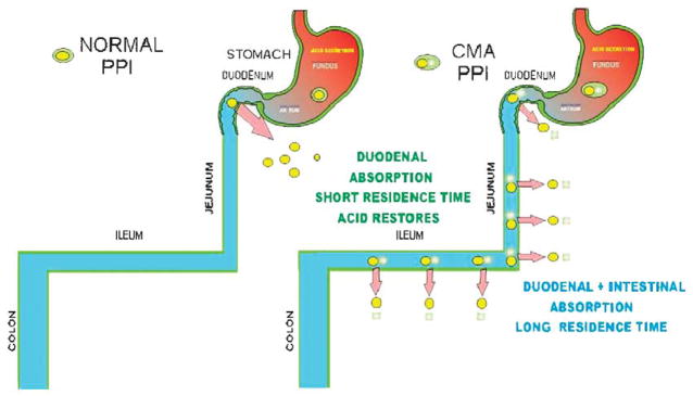 FIGURE 18