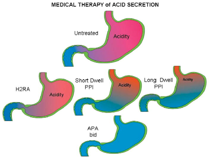 FIGURE 24