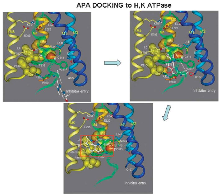 FIGURE 22