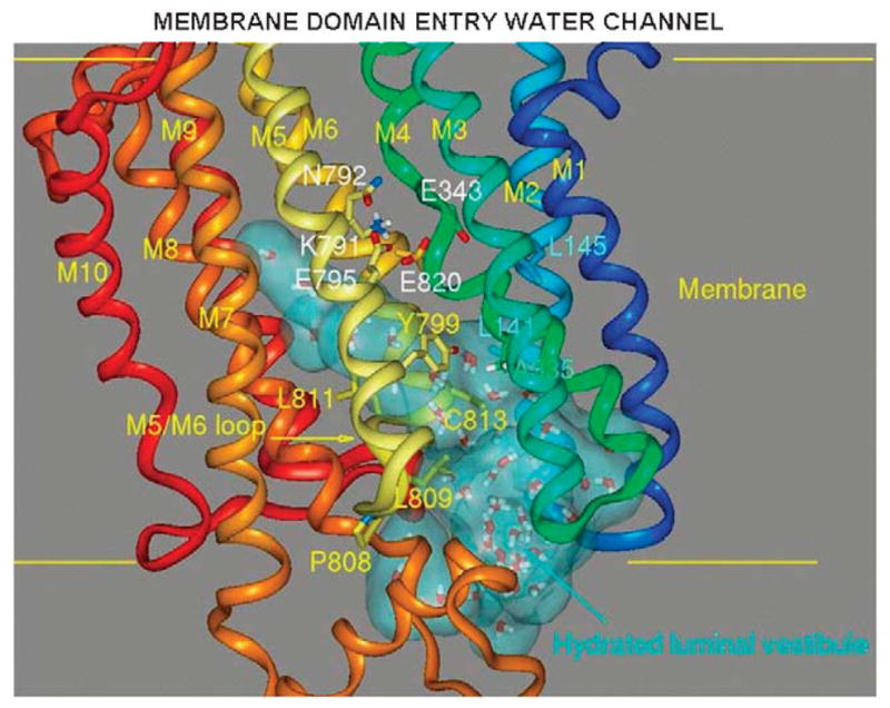 FIGURE 21