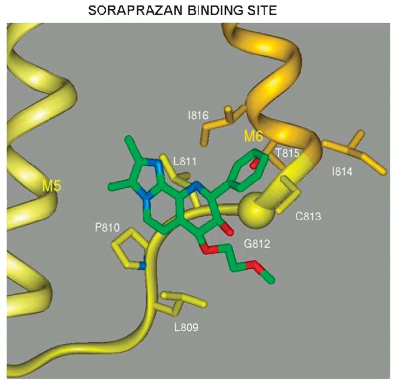 FIGURE 23