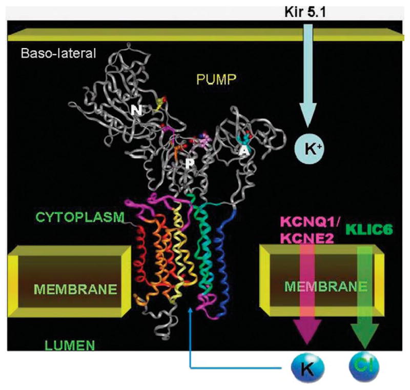 FIGURE 4