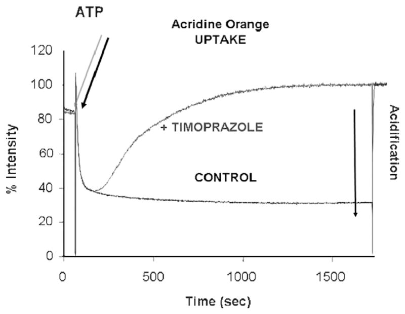 FIGURE 12