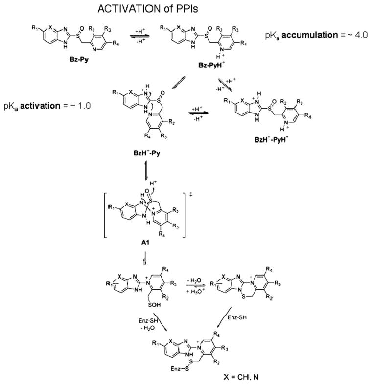 FIGURE 13