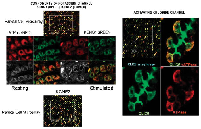 FIGURE 3