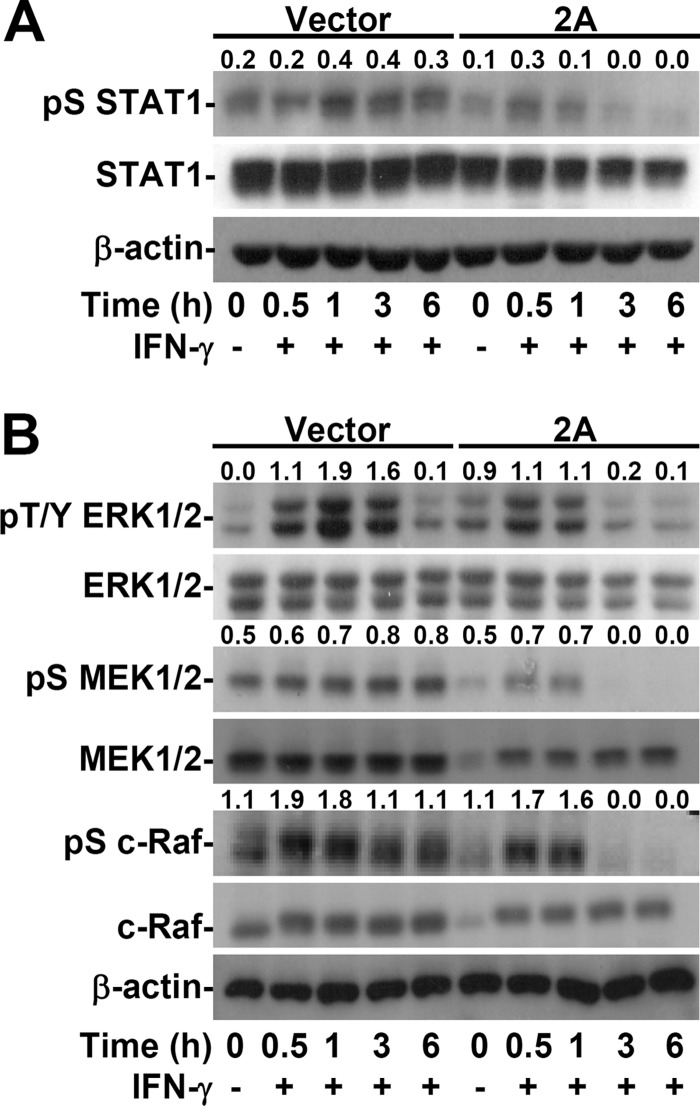 FIG 6