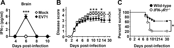 FIG 1