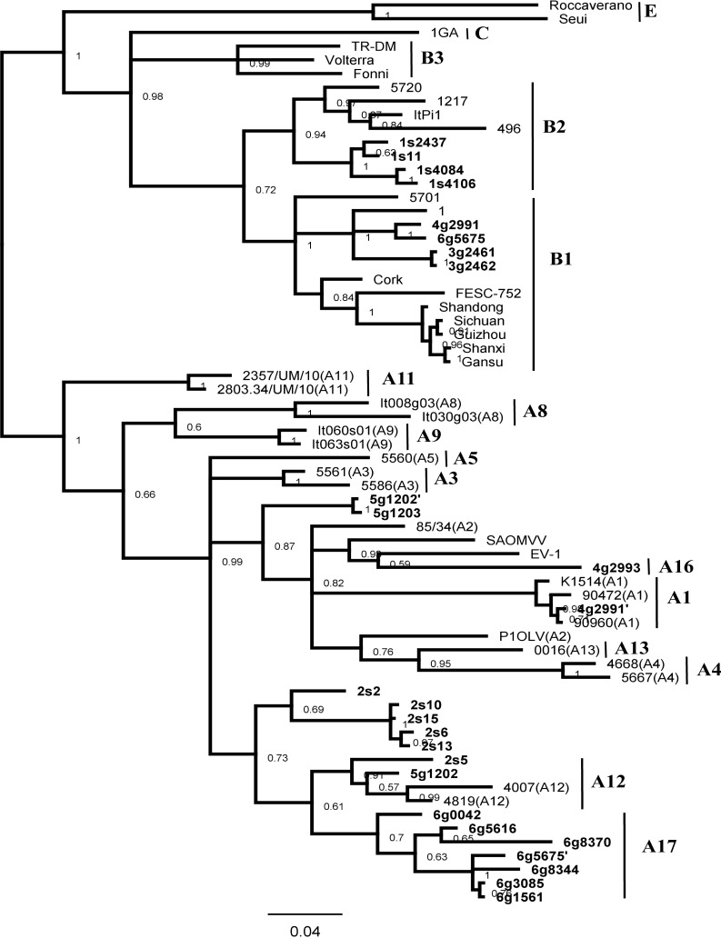 Fig 2