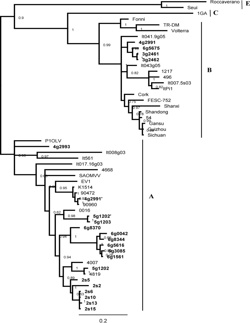 Fig 3