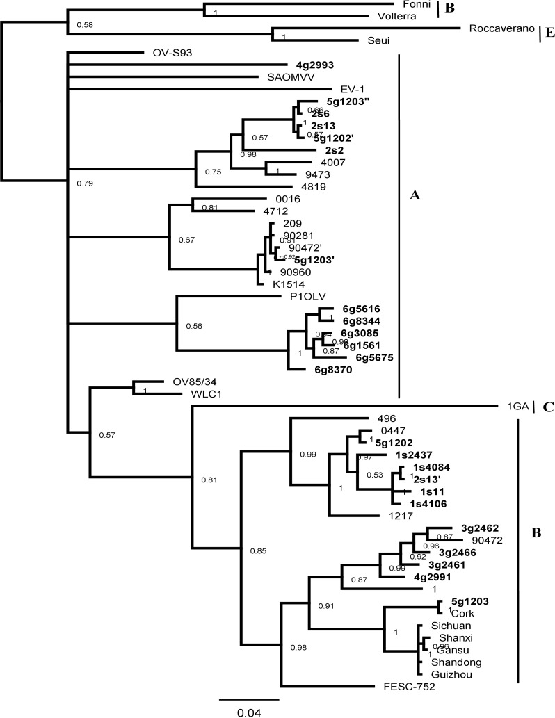 Fig 1