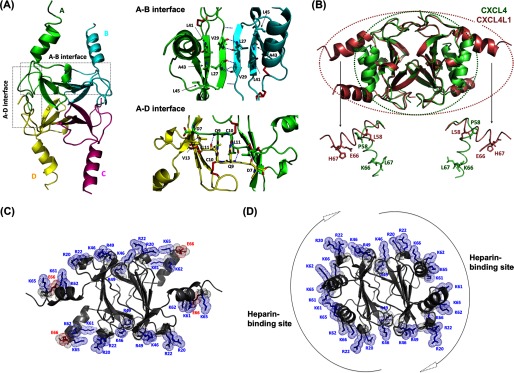 FIGURE 4.