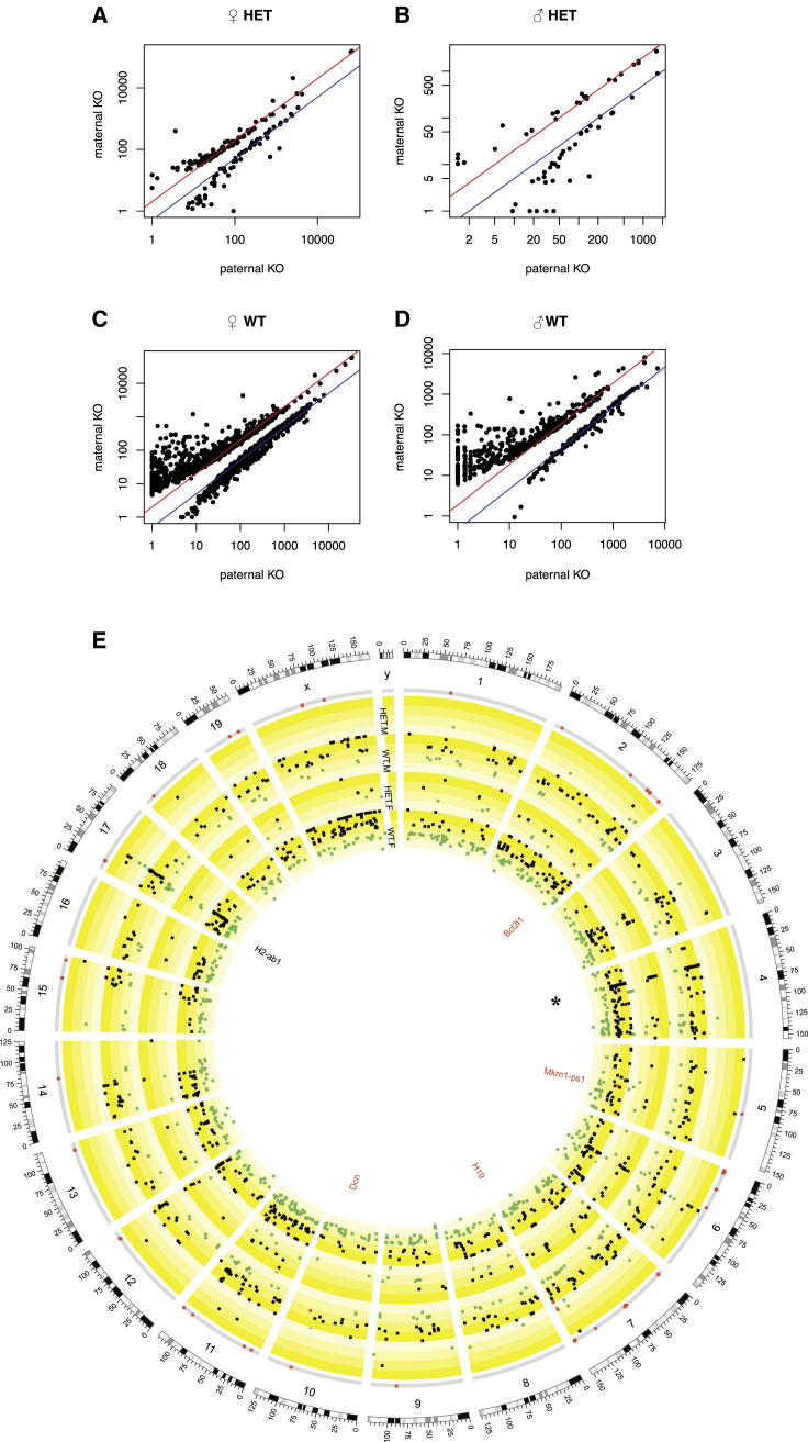 Figure 5