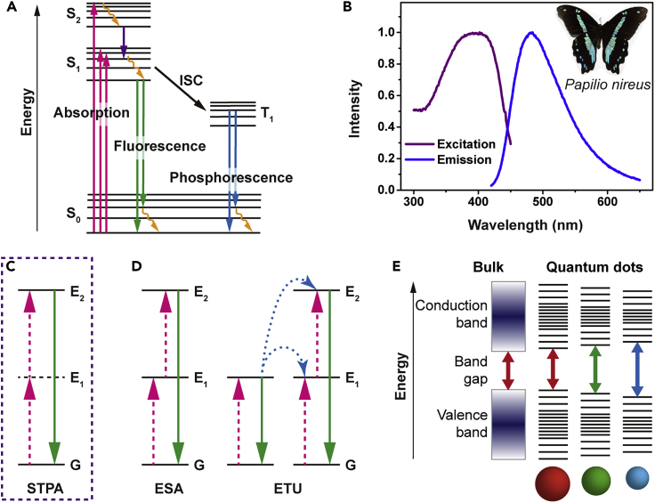 Figure 4