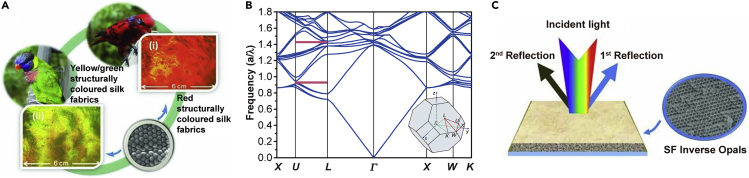 Figure 3