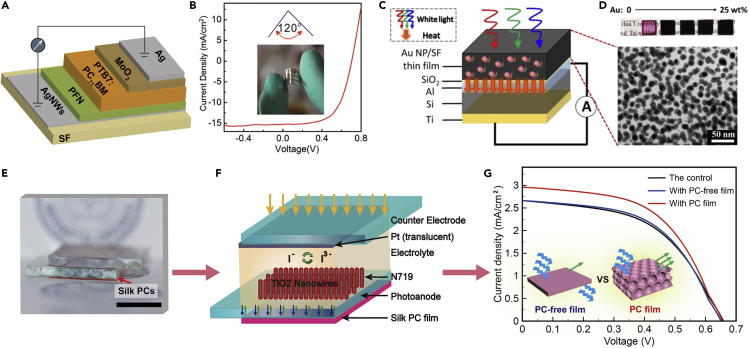 Figure 10