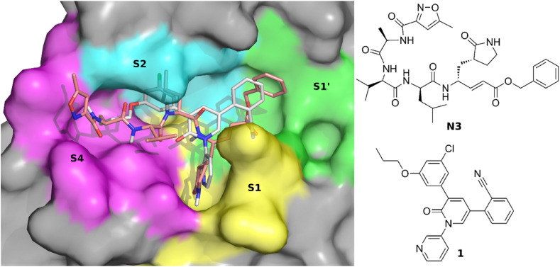 Fig. 3