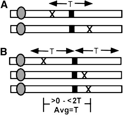 Figure 1.—