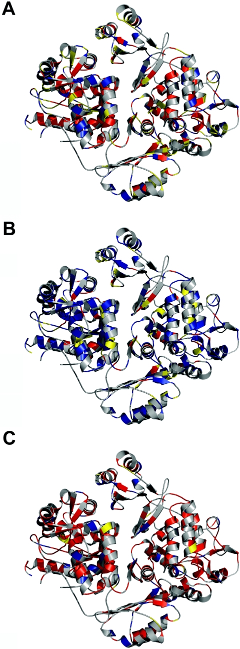 Figure  5. 