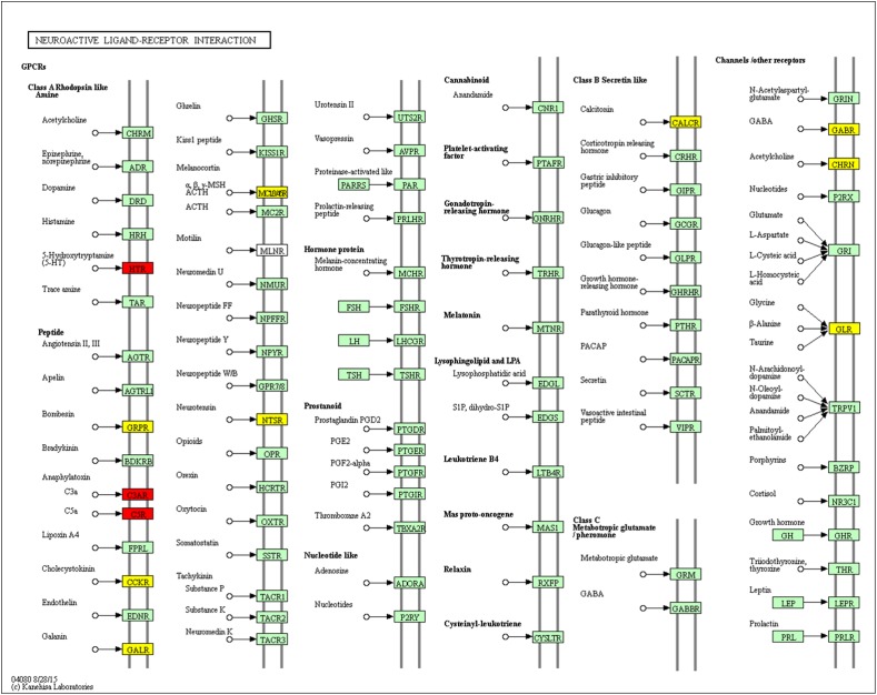 FIGURE 10