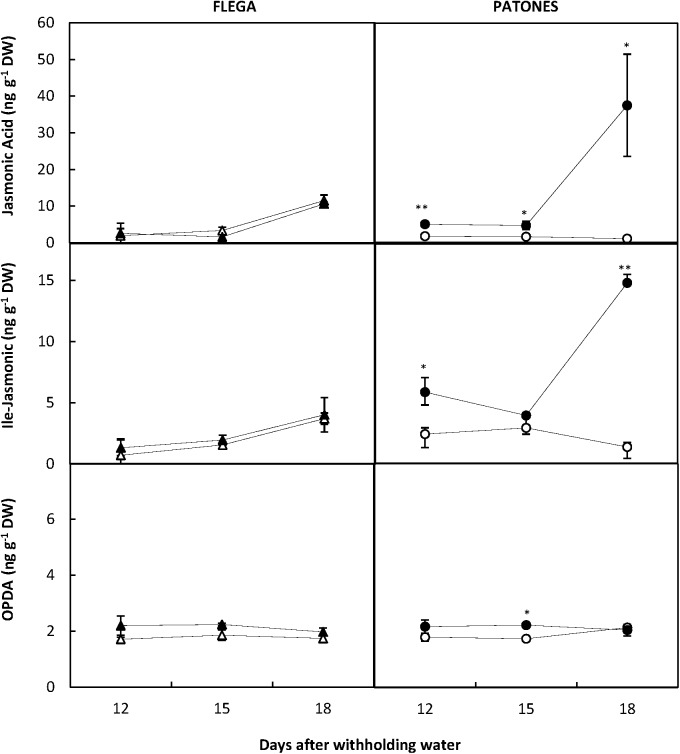 FIGURE 9