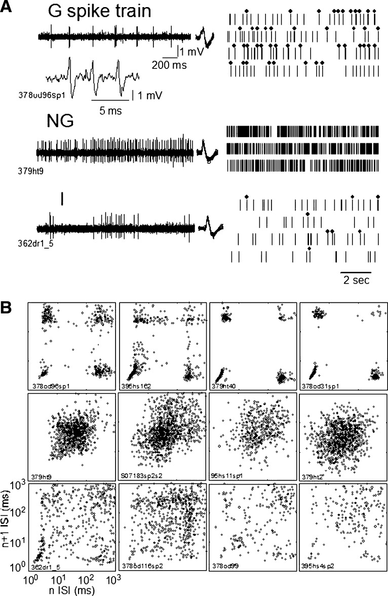 FIG. 1.