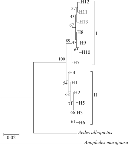 Figure 3