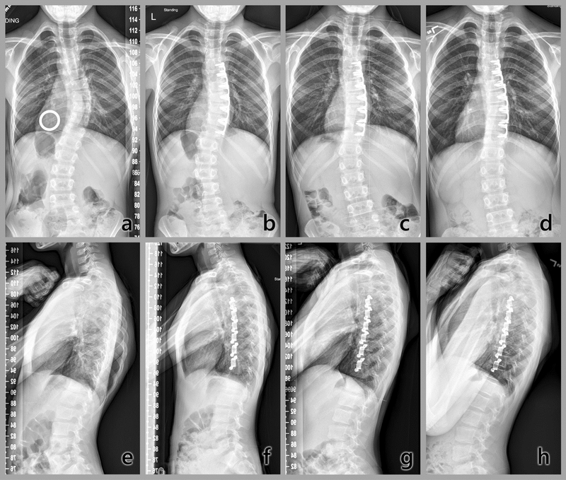 Fig. 7.