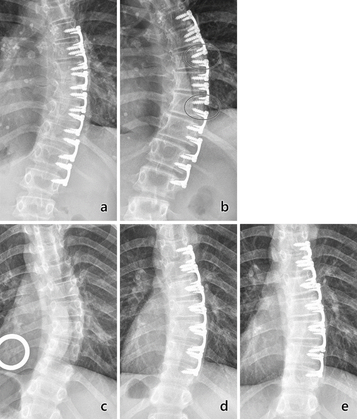 Fig. 8.