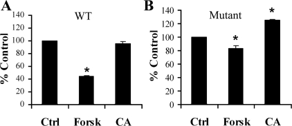 Fig. 10.