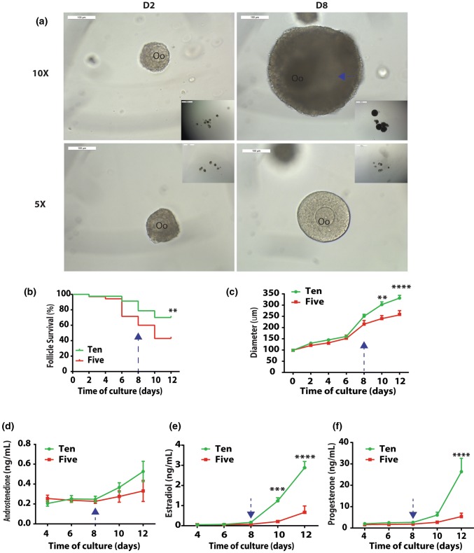 Figure 1