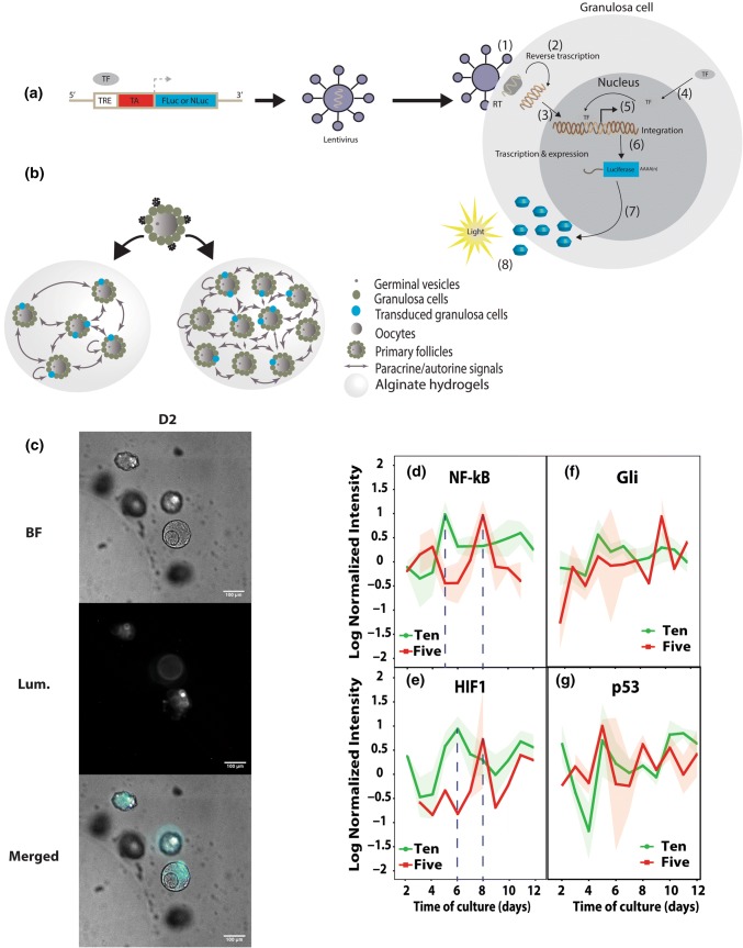 Figure 2