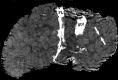 Figure 4a