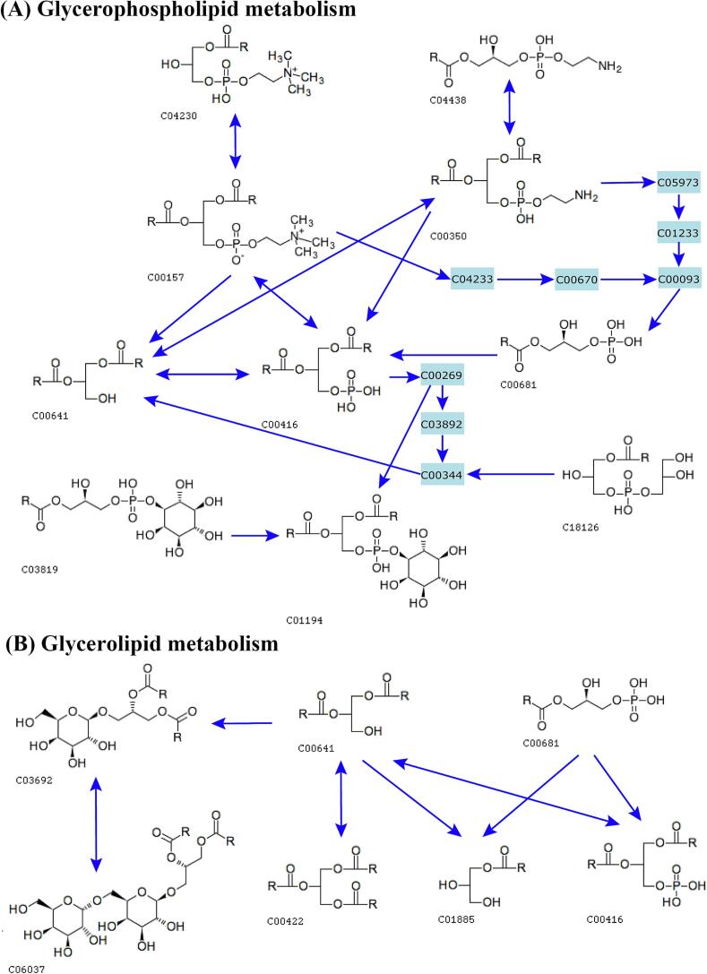 Fig. 7