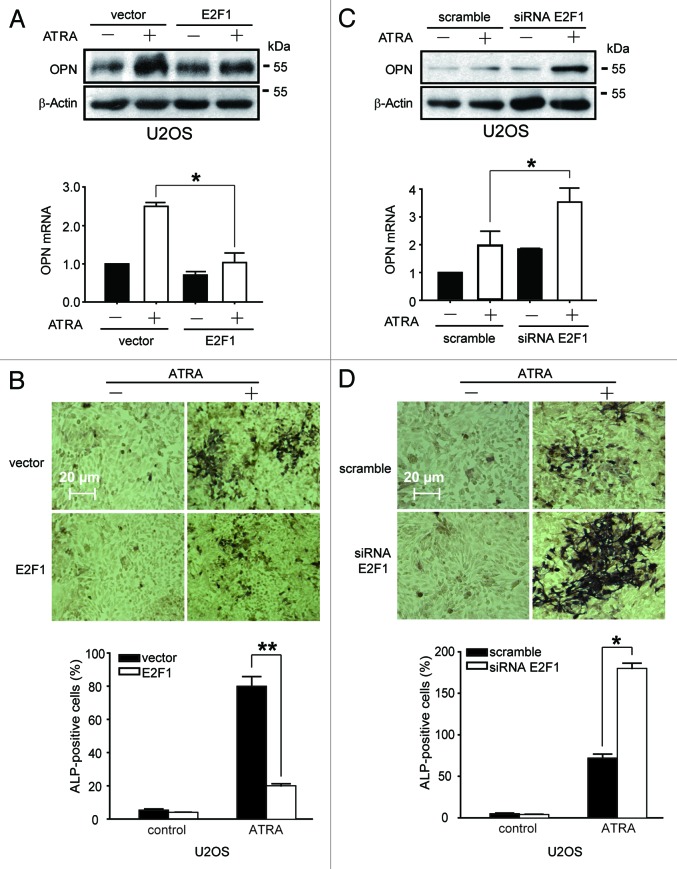 
Figure
2.
