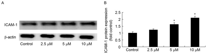 Figure 9.