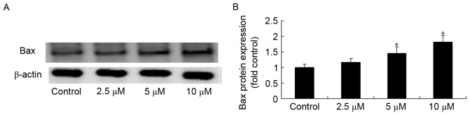 Figure 6.