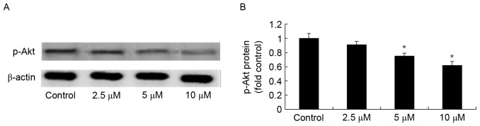 Figure 5.