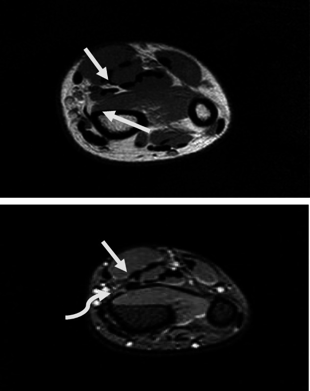 Fig. 5