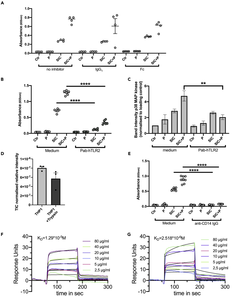 Figure 6