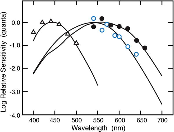 Fig. 6