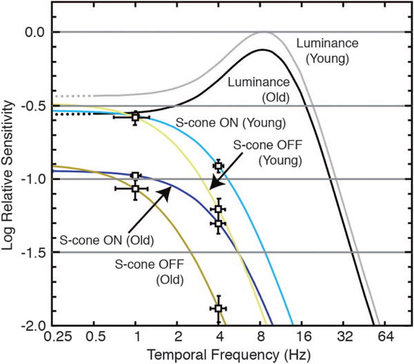 Fig. 12