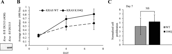 FIGURE 7.