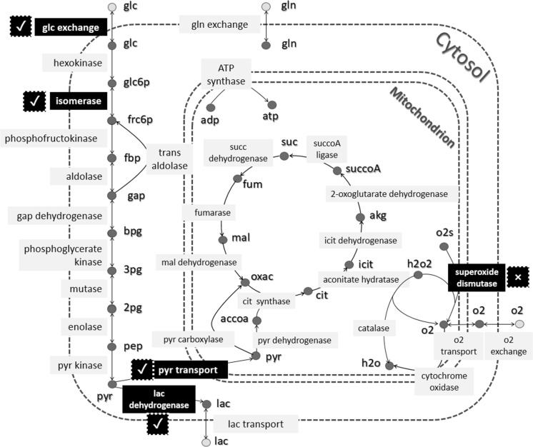 Fig. 2