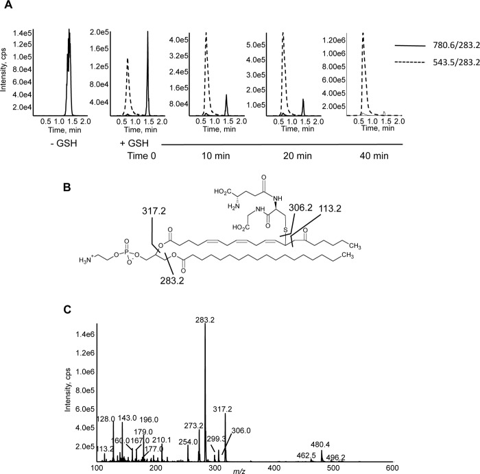 FIGURE 6.