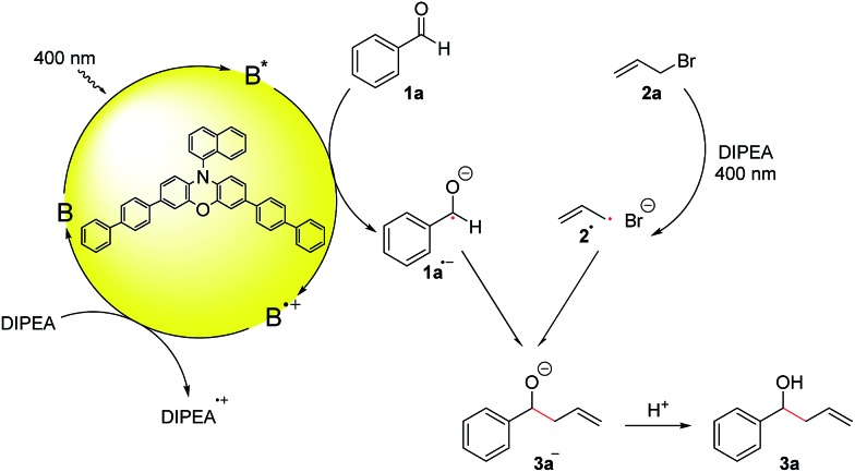 Scheme 3