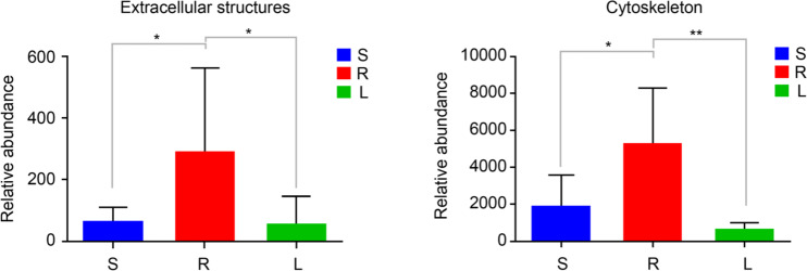 Fig. 8.