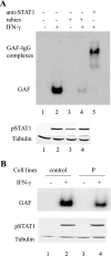 FIG. 5.