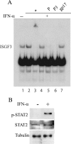 FIG. 7.