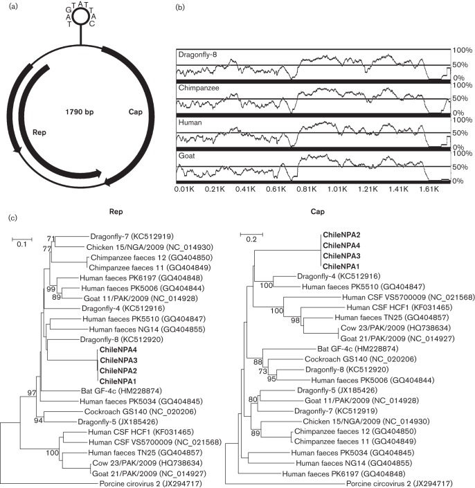 Fig. 1. 